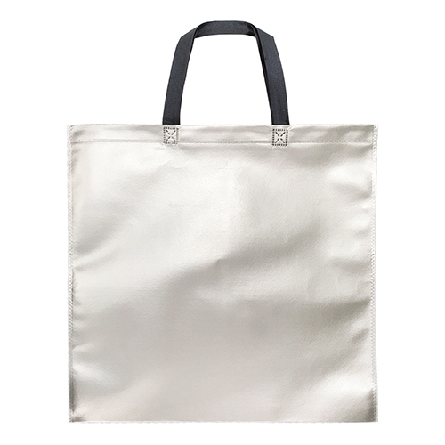 BOLSA BOUTIQUE PLATA