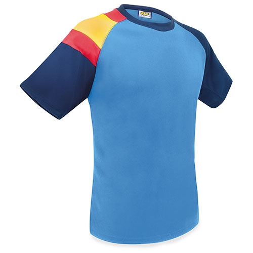 CAMISETA BANDERA D&F AZ-RY
